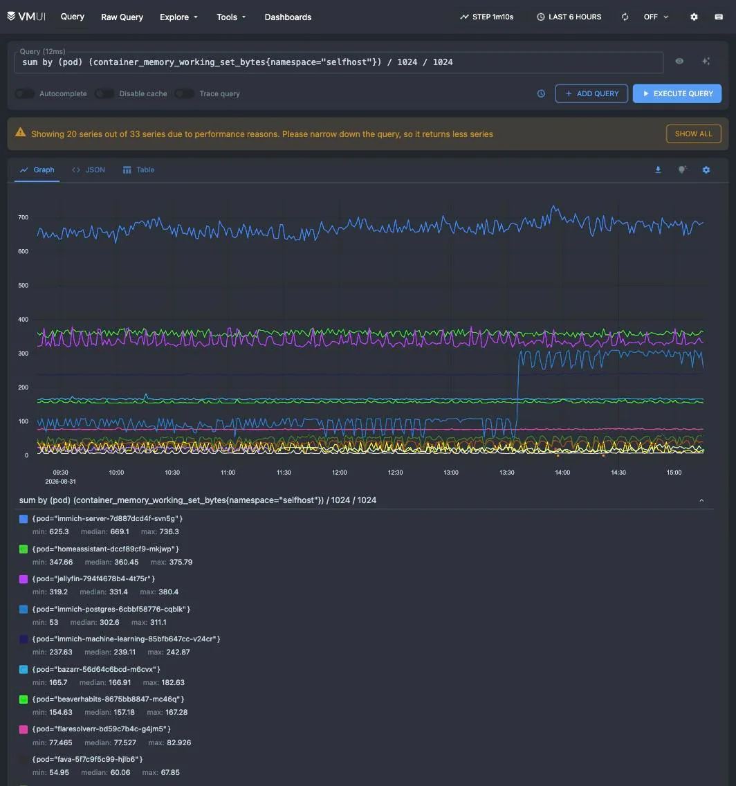 metrics.home.skippednote.dev/vmui